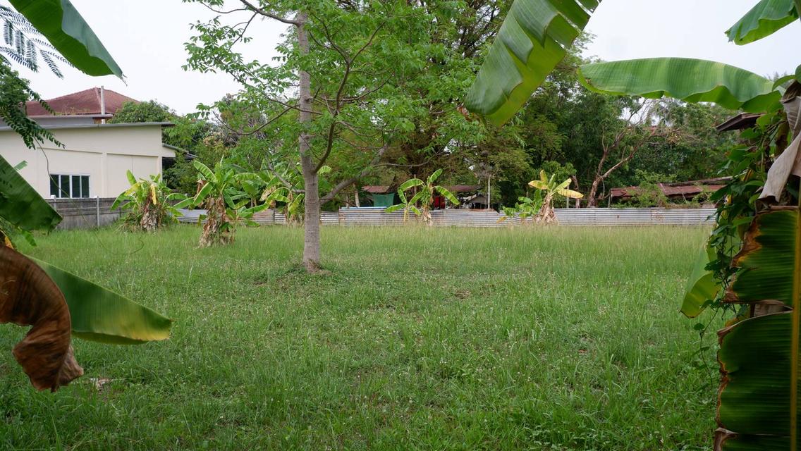 ที่ดินใจกลางเมืองสกลนคร ไม่มีสิ่งปลูกสร้าง จำนวน 2 งาน 16