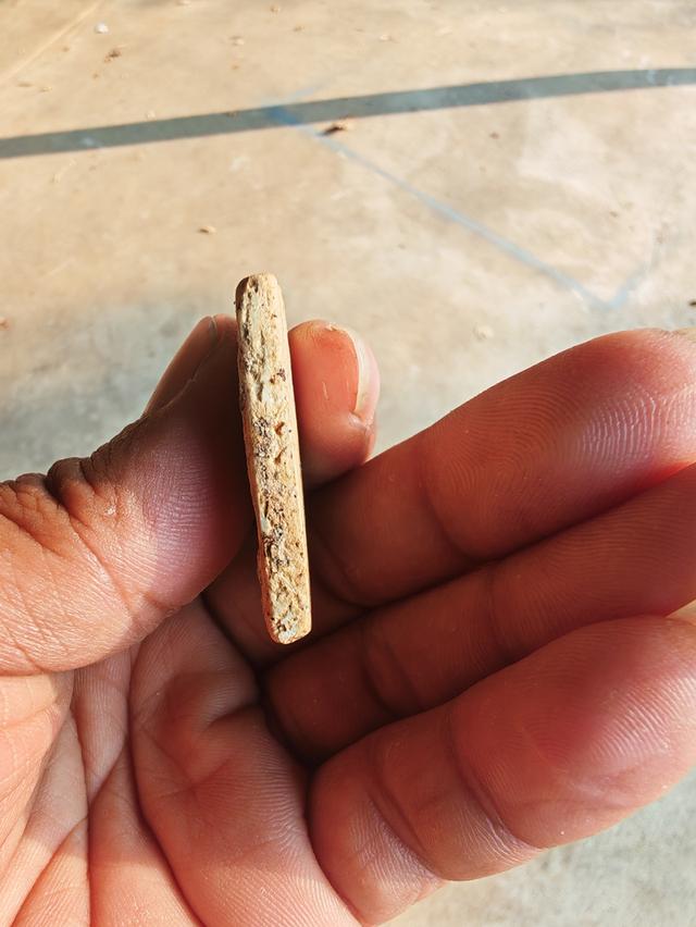 พระสมเด็จ รุ่นไม่แน่ใจ รูปที่ 2