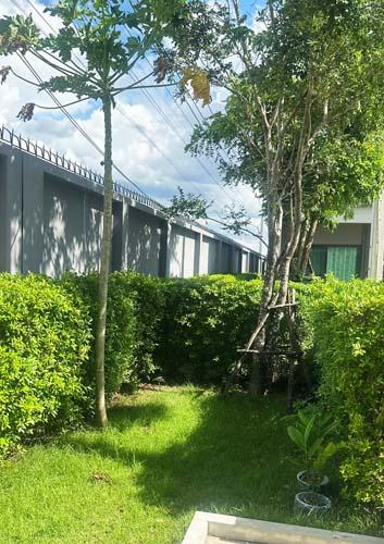 H-111 : บ้าน 36.1 ตร.วา วี คอมพาวด์ รังสิต-วิภาวดี ถ.รังสิต-นครนายก คลองสาม 5