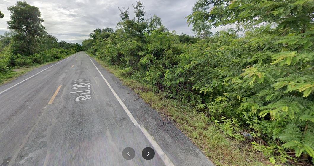 ขายที่ดิน 8-2-81 ไร่ ติดถนนลาดยางหน้ากว้าง 100 เมตร ที่สวย 4 เหลี่ยมงาม พื้นที่สีเขียวสร้างโรงงานน่ะครับ 1