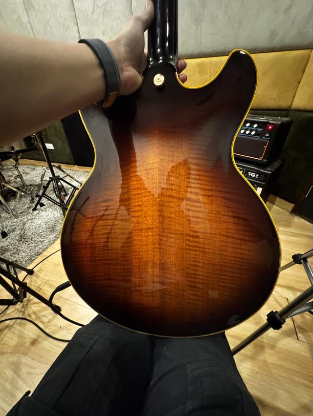Guitar Ibanez John Schofield