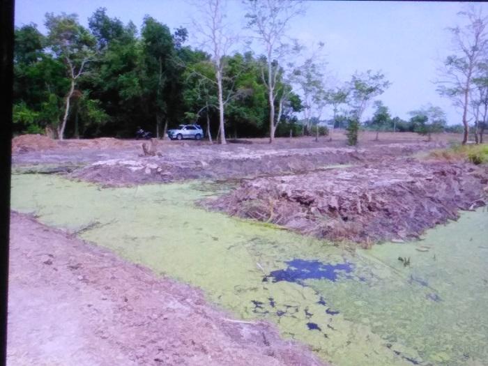 ที่ดินลำลูกกา คลอง14 2 ไร่ 1
