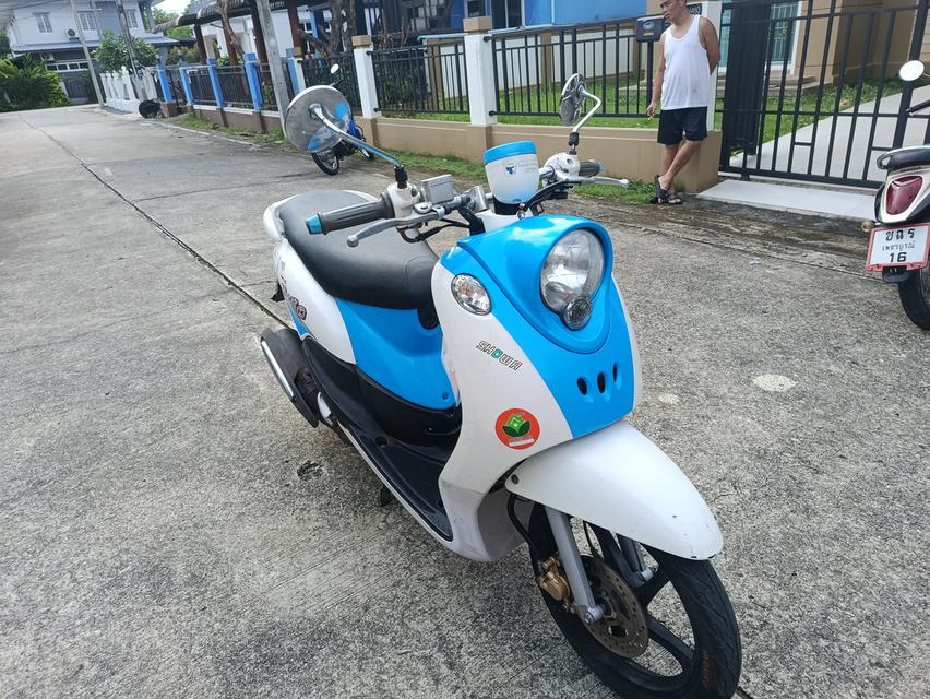 Fino 12