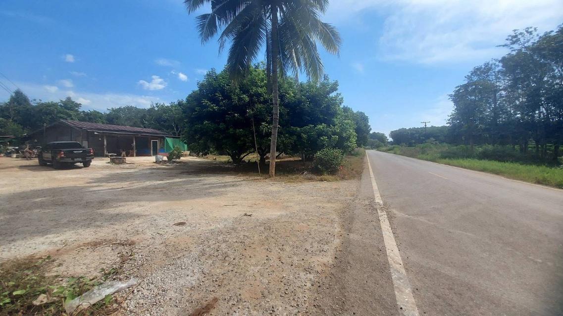 ขายถูก บ้านพร้อมที่ดินบนเนื้อ 3 ไร่ 1 งาน 71 ตรว อ. ไทรโยค กาญจนบุรี 1