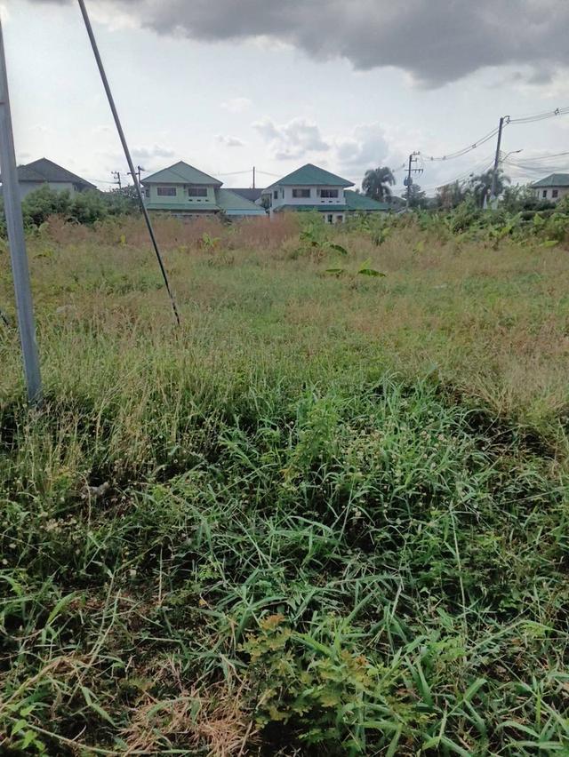 ให้เช่า/ขาย ที่ดิน จ.อุดรธานี 3