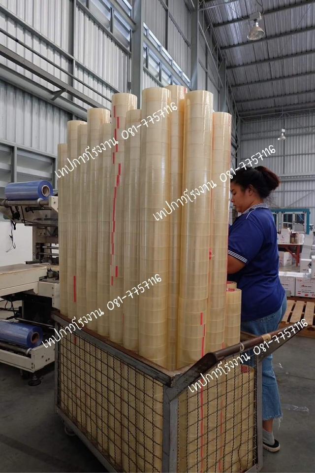 เทปปิดกล่อง2นิ้ว45หลา เทปปิดกล่อง2นิ้ว100หลา 081-7757116