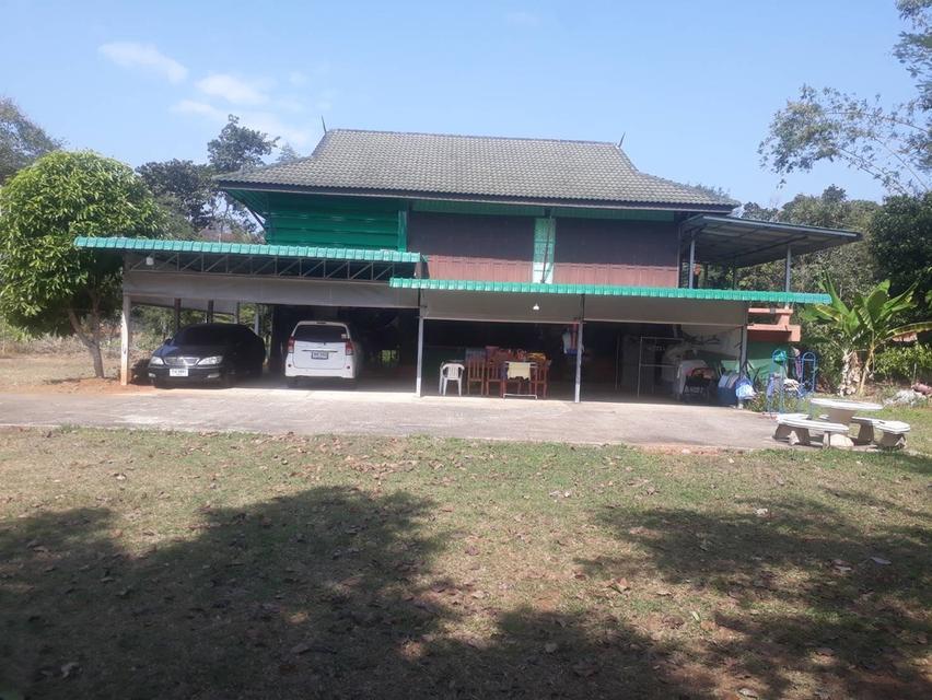 ขายบ้านพร้อมที่ดิน บ้านไม้สัก
