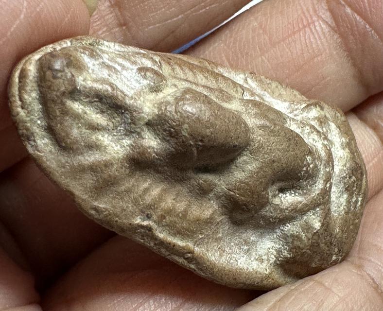 พระเนื้อดิน ไม่ทราบที่  5