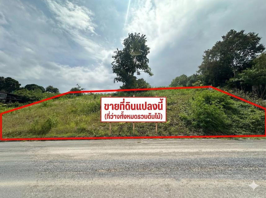 ขายด่วน! ที่ดินเขาใหญ่ 1 ไร่กว่า บนเนินสวยสูง 500 ม. วิวเขาซ้อนพาโนรามา 7