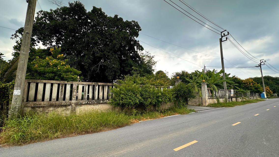 ที่ดิน ถม ล้อมรั้ว แปลงมุม 200 ตร.ว ติดถนน2ด้าน ซอยเลียบคลองลากค้อน ถนนบางบัวทอง-สุพรรณบุรี ตำบลละหาร อำเภอบางบัวทอง จังหวัดนนทบุรี 3