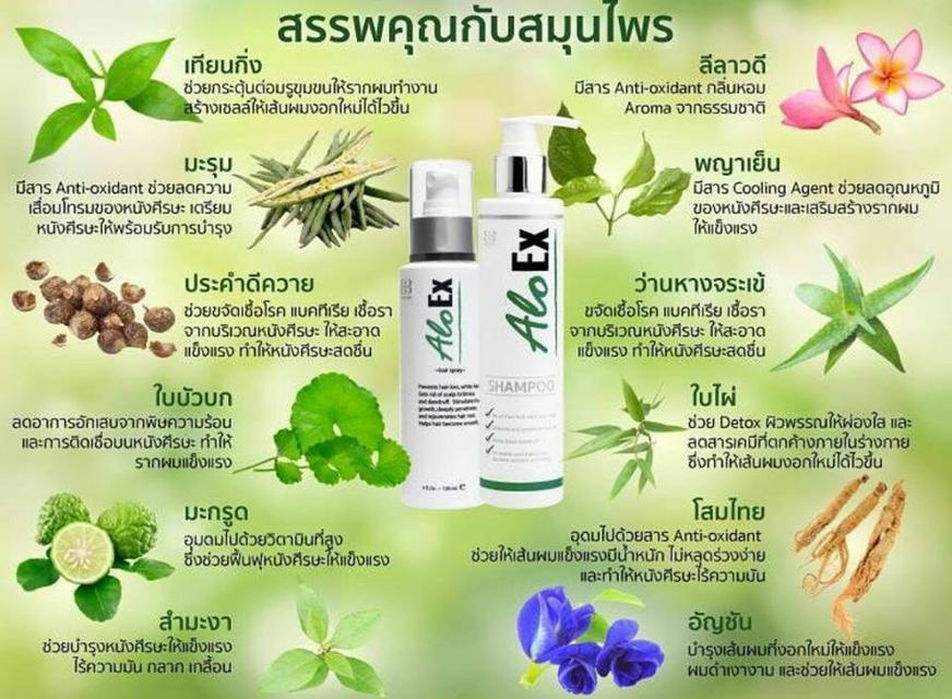 AloEx Hair Regrowth Serum เซรั่มสำหรับคนผมบางและผมร่วง อโลเอ็กซ์ (ส่งฟรี EMS)