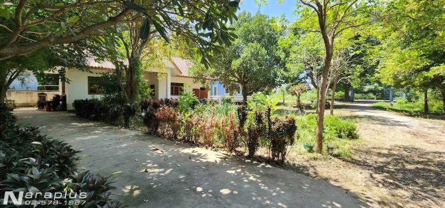 69060428 : ขายบ้านสไตล์รีสอร์ท พร้อมที่ดินติดโค้งน้ำแม่กลอง เนื้อที่ 2 ไร่ 52.7 ตารางวา พร้อมที่งอกติดแม่น้ำเกือบ 1 ไร่ อ.ท่ามะกา กาญจนบุรี 13