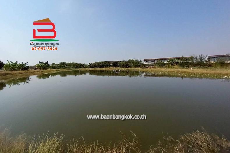 ที่ดิน ซอยโรงหลวง (ใกล้ห้างตะวันออกคอมเพล็กซ์) เนื้อที่ 9 ไร่ 1 งาน 67 ตรว. ตำบลหนองตีนนก อำเภอบ้านโพธิ์ ฉะเชิงเทรา 6