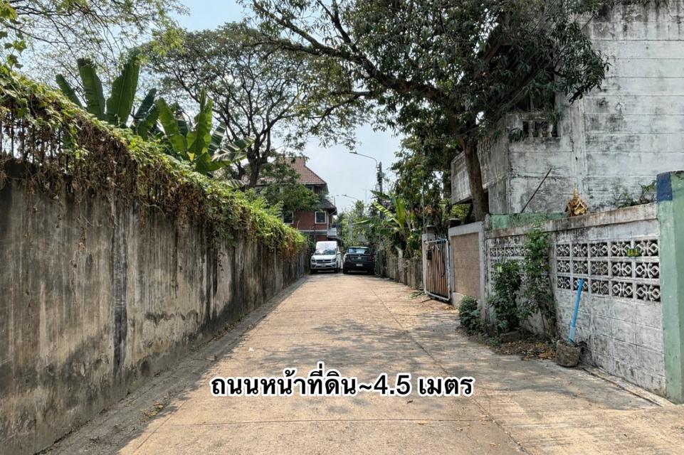 ขายที่ดิน ดุสิต 1 ไร่ กว่า สุโขทัย 7 หลังสวนจิตรดา ทำเลดีมาก กรุงเทพชั้นใน 3