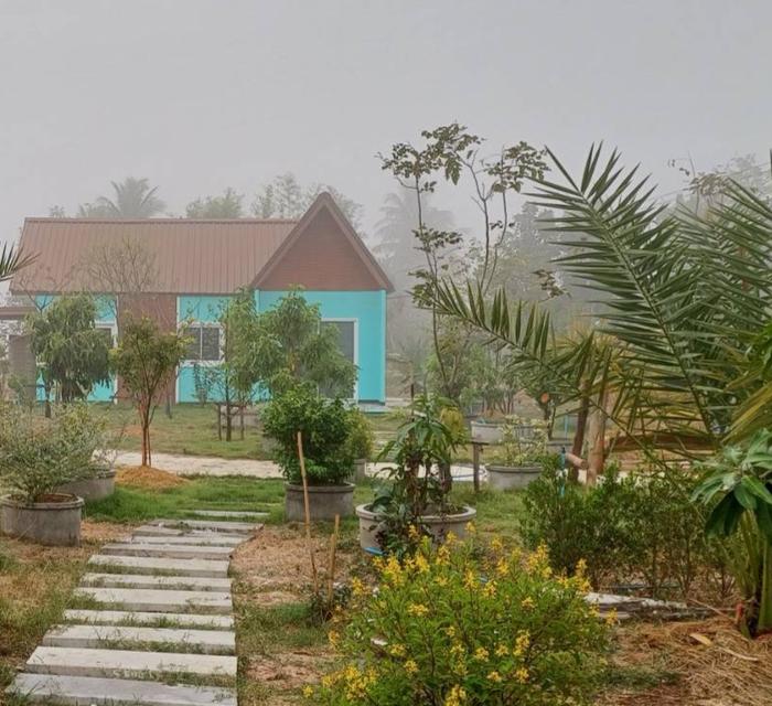 บ้านสวน 200ตรว. สุพรรณบุรี 4