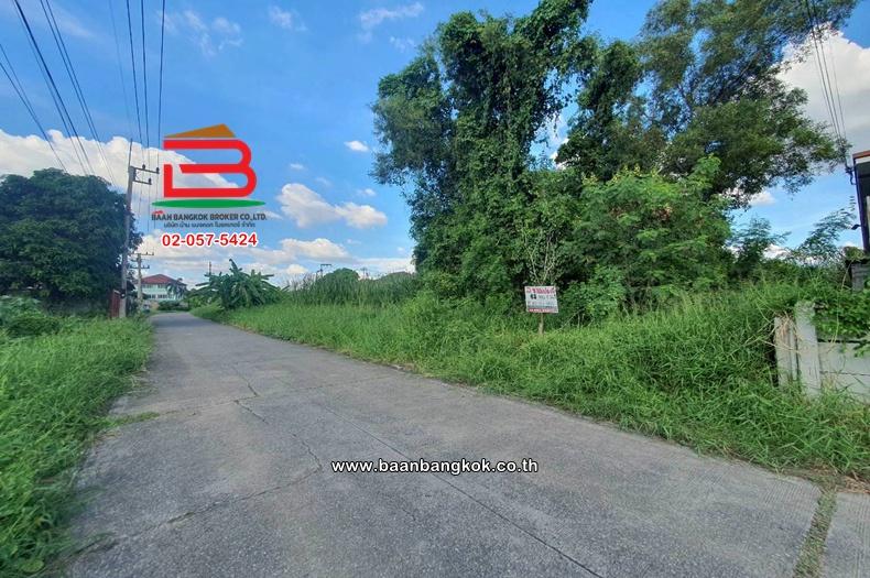 ที่ดินเปล่า เนื้อที่ 63 ตร.ว. ซอยร่วมใจ 1, ใกล้วัดเปรมประชา ถนนพหลโยธิน ตำบลสวนพริกไทย อำเภอเมืองปทุมธานี ปทุมธานี 2