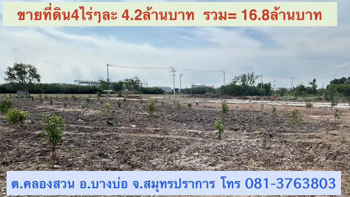 ขายที่ดิน 4ไร่ๆละ4.2ล้านบาท ถมแล้ว ติดนิคมเอเชียสุวรรณภูมิ โทร 081-3763803 2