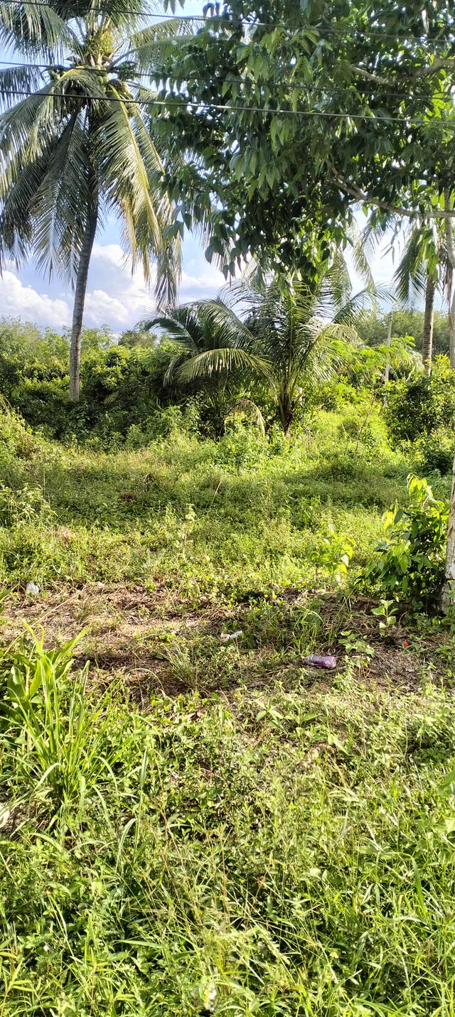 ที่ดินเปล่าทำเลทองติดถนน 4