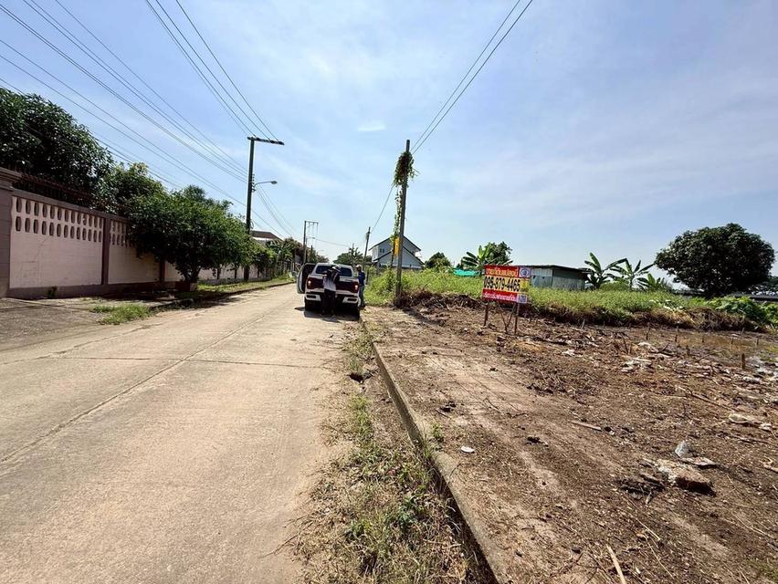 Vายถูกที่ดินบางแวก 75 ตารางวา ติดถนนคอนกรีตสาธารณะ ถมแล้ว 7
