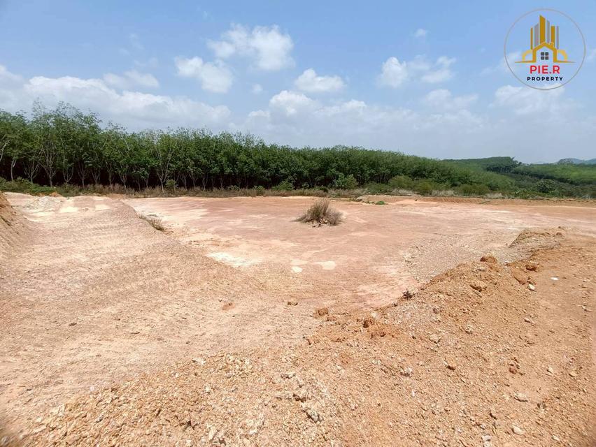 ลงทุนเพื่ออนาคต! ที่ดิน41-369ไร่ อ.เมืองระยอง l ใกล้ถ.สุขุมวิท(เดินทางเชื่อมต่อไปตัวเมืองระยองสะดวก) 13