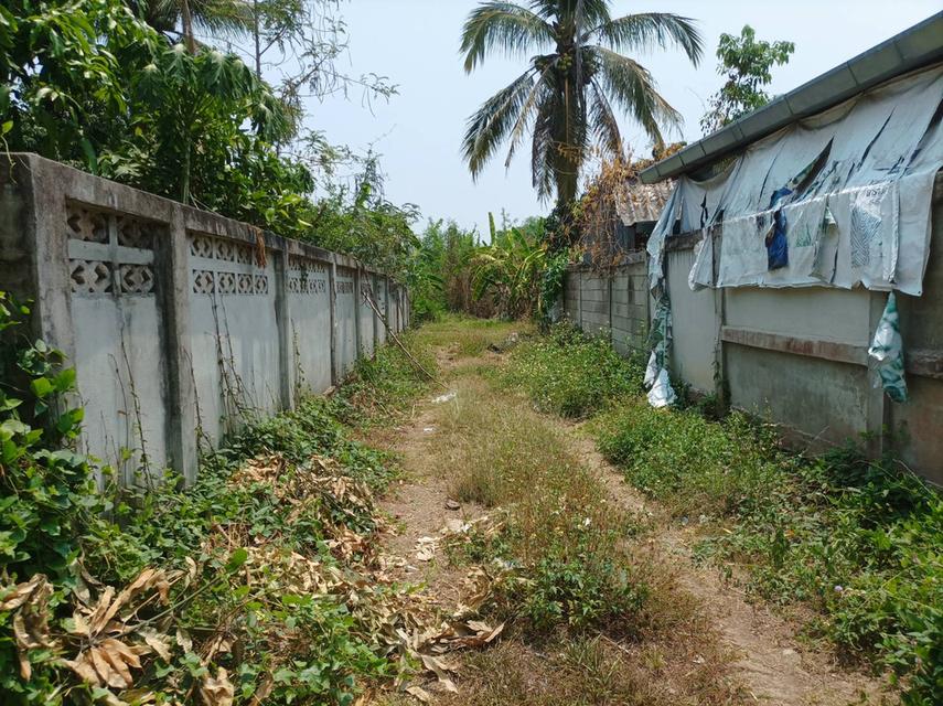 ขายที่ดิน 11ไร่95ตร.ว. ต.ป่าป้อง อ.ดอยสะเก็ด จ.เชียงใหม่ 3