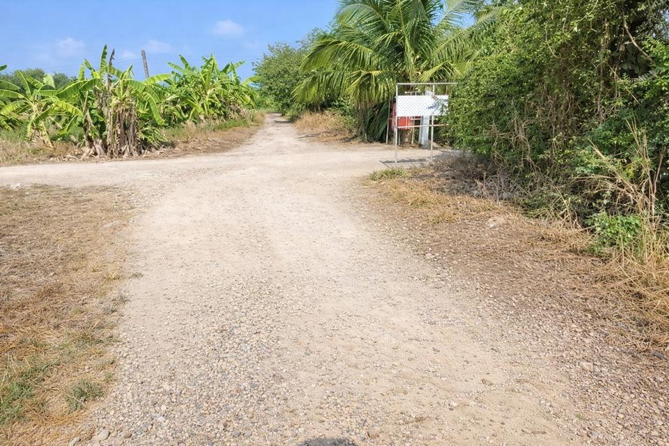 ขายที่ดินแปลงเดียว 2 โฉนด 250 ไร่ หนองหมู วิหารแดง สระบุรี เหมาะทำเกษตรและลงทุน 1