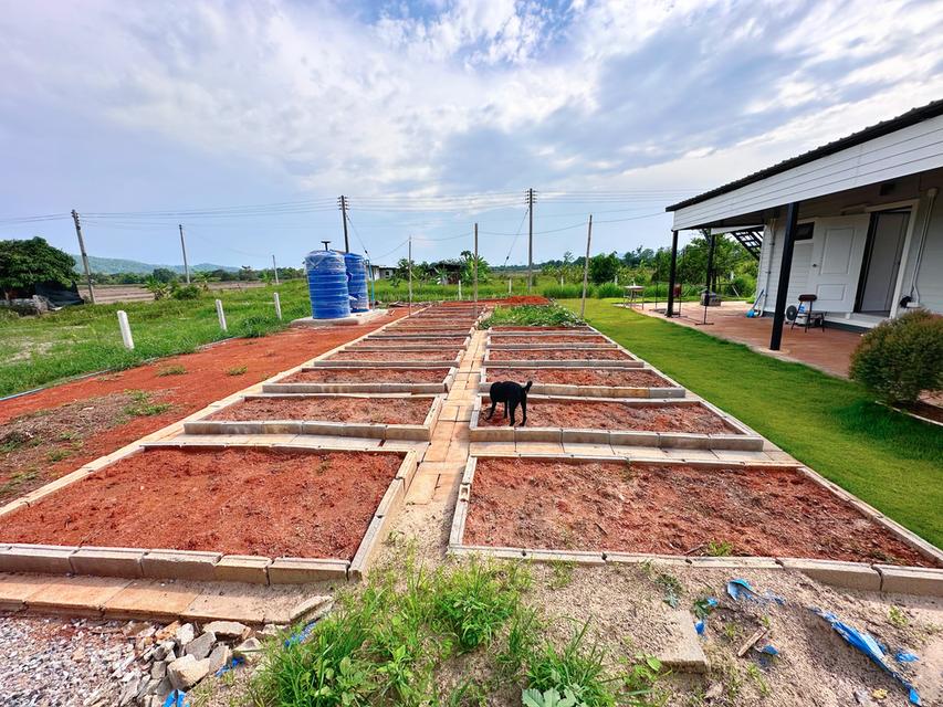 ขายบ้านสวนพร้อมที่ดิน 12 ไร่เศษ อเมืองเชียงราย ตห้วยสัก เหมาะทำคาเฟ่และฟาร์มสเตย์ เดินระบบไฟใต้ดินเรียบร้อย 18