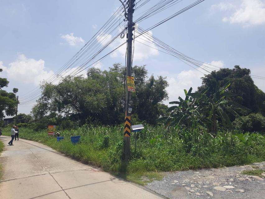 ที่ดิน 4 ไร่ 1 งาน ปทุมธานี บางคูวัด 4