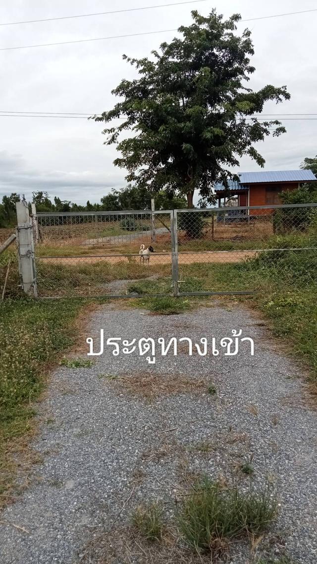 บ้านพร้อมที่ดิน อำเภอเลาขวัญ จังหวัดกาญจนบุรี 3