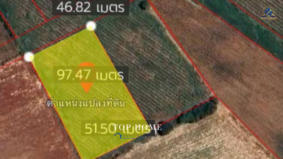 ขายด่วน! ที่ดินเปล่า อ.ปากช่อง วิวภูเขาสวย** เนื้อที่ **2 ไร่ 1 งาน 99 ตร.ว.** 5