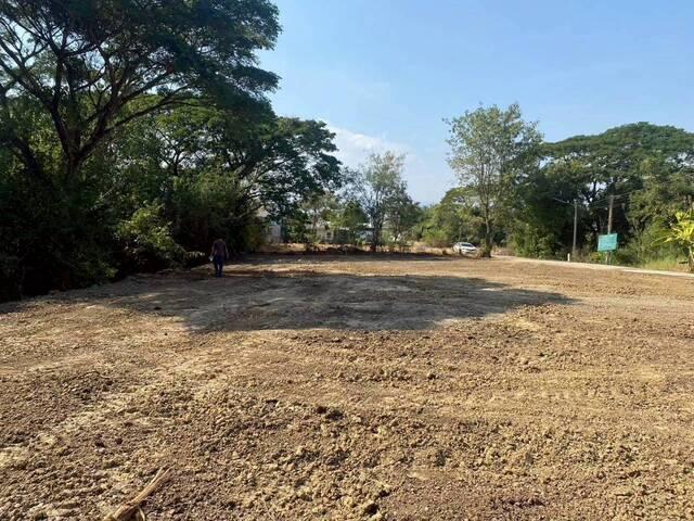 ขายที่ดิน 3 แปลงรวม 340 ตร.วา ราคา ตร.วาละ 12,000 บาท เมืองเพชรบูรณ์ 4