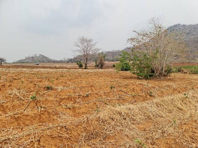 ที่ดินบ้านพร้อมโอนเจ้าของขายเอง ที่ดินติดภูเขา ต.พระนอน อ.เมือง จ.นครสวรรค์ วิวสวยมากๆๆ 5ไร่เศษ โทร 096-882-1857 4