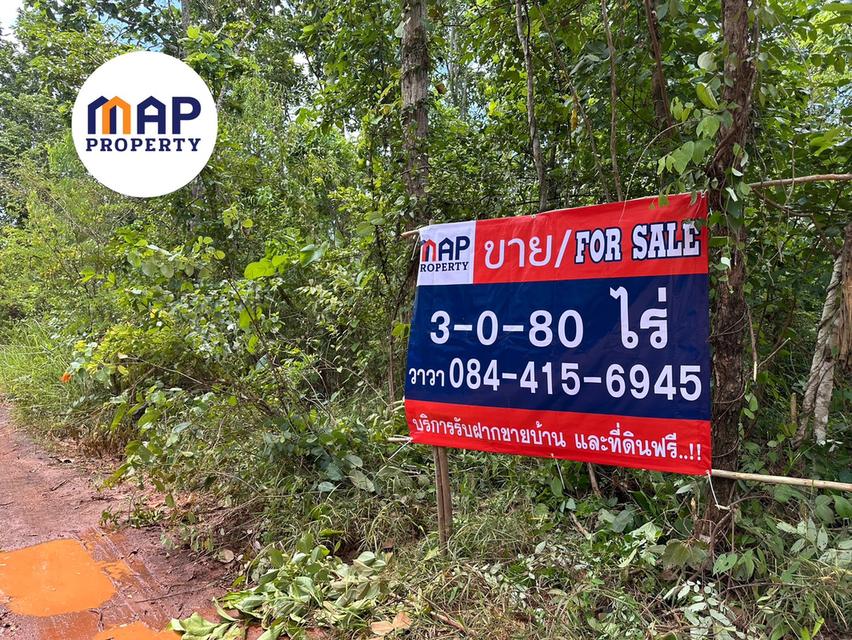 เปลี่ยนเงินฝากเป็นที่ดิน! แปลงสวย แปลงใหญ่ ใกล้ชิดธรรมชาติ ยิ่งเก็บยิ่งเพิ่มมูลค่า 2
