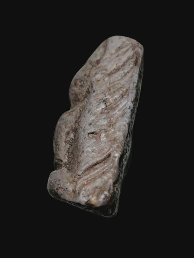 นางพญา เปิดให้บูชาจ้า 2