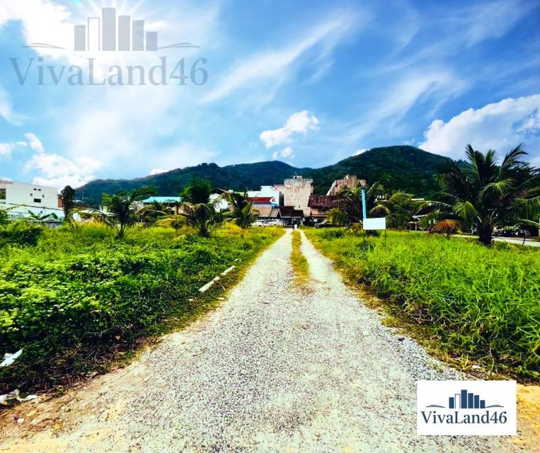 ที่ดินผืนใหญ่ ใจกลางป่าตอง 1