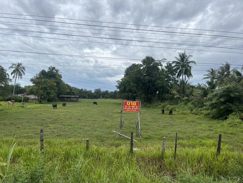 ขายที่ดิน ติดทะเลสาบสงขลา บ้านปากประ ลำปำ พัทลุง 6