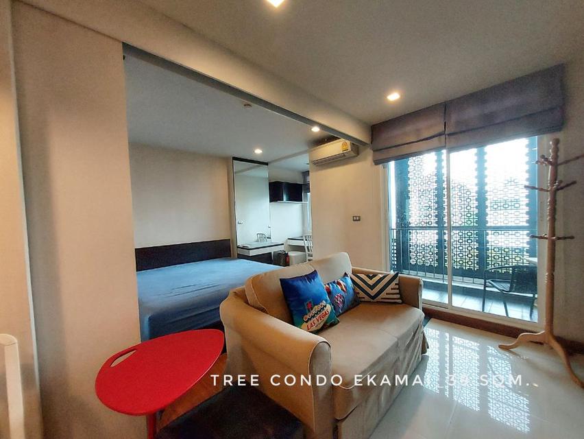 ให้เช่า คอนโด 1 ห้องนอน มีอ่างอาบน้ำ Tree Condo เอกมัย 39 ตรม. ทำเลดี เดินทางสะดวก ใกล้ทางด่วนและ BTS เอกมัย 1