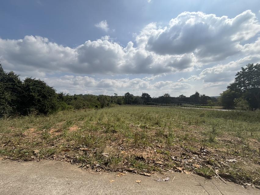 ที่ดินเปล่า ด้านหลังอำเภอ วังน้ำเขียว แบ่งขาย ได้ 2