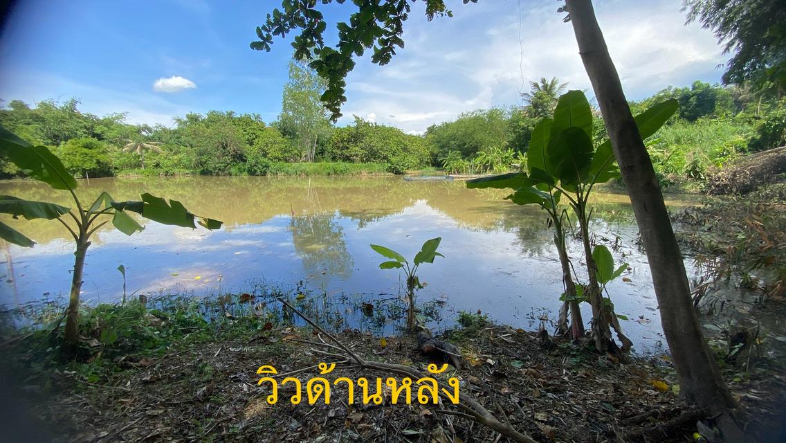 ขายด่วน ที่ดิน 1 ไร่ ชลบุรี 7