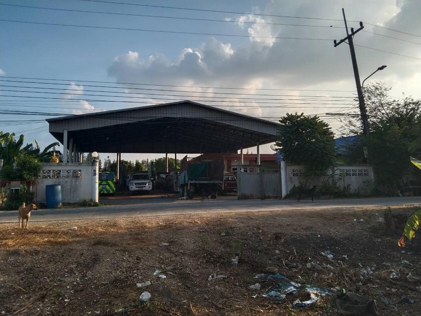 ขายที่ดิน 208ตารางวา พร้อมสิ่งปลุกสร้าง ต.คลองสาม 1