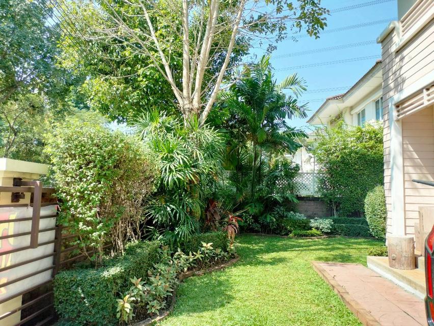 💢🚩บ้านเดี่ยว  ติดสวน ทำเลดี 🏠 คาซ่าวิลล์ บางนา สุวรรณภูมิ 19
