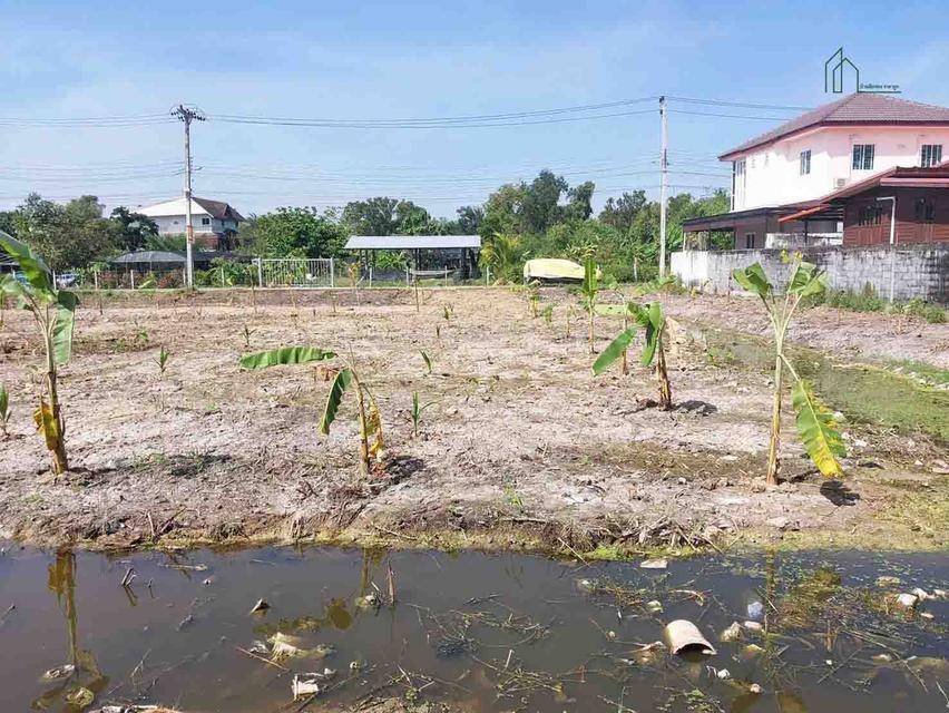 ที่ดิน 1 ไร่ 2 งาน 24 ตารางวา บางกรวย ไทรน้อย 43 ใกล้วัดบางกร่าง 4