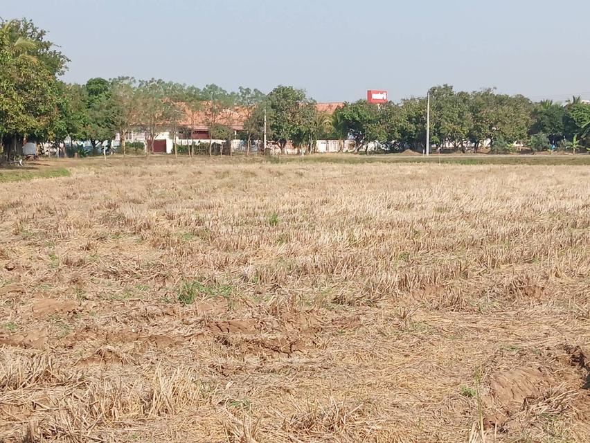 ขายที่ดิน แบ่ง 3 แปลง เจ้าของขายเอง 91 ตารางวา ขอนแก่น 8