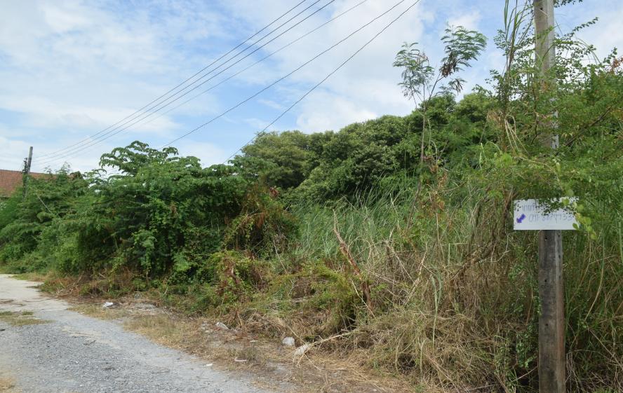 ขายที่ดิน โซนบางใหญ่ 50 ตร.วา ใกล้เซ็นทรัลเวสเก็ต 1