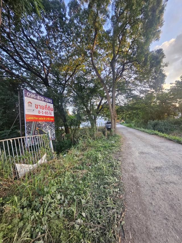 ขาย ที่ดินเปล่า เชียงใหม่ ถนนรอบเมืองเชียงใหม่ 8-1-85.1 ไร่ เหมาะทำ หมู่บ้าน บริษัท โกดัง 4