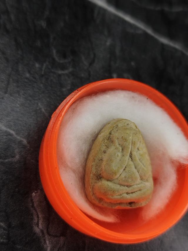 หลวงปู่โต้ะ ปี108