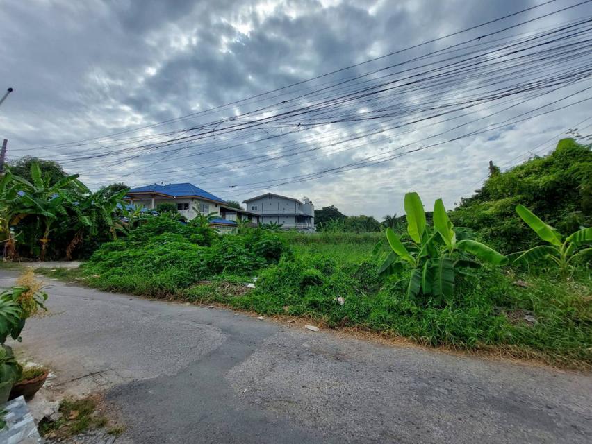 ขายที่ดิน เนื้อที่ 91 ตร.ว. ซอยอ่อนนุช 66 แยก 19-12-4 ใกล้สวนสาธารณะบึงหนองบอน 3