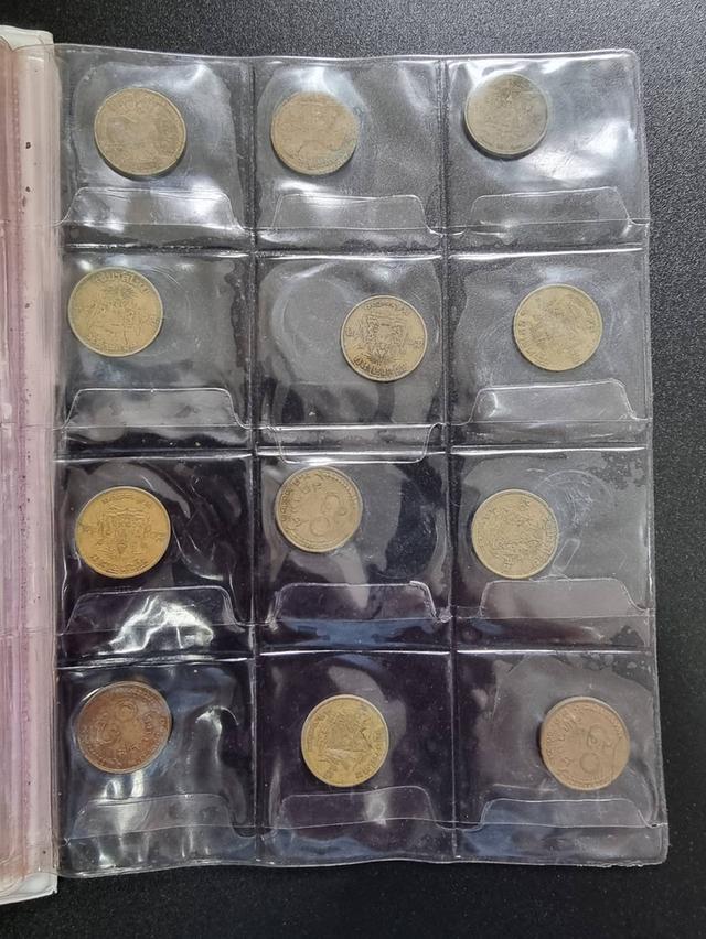 Coin Collection  17