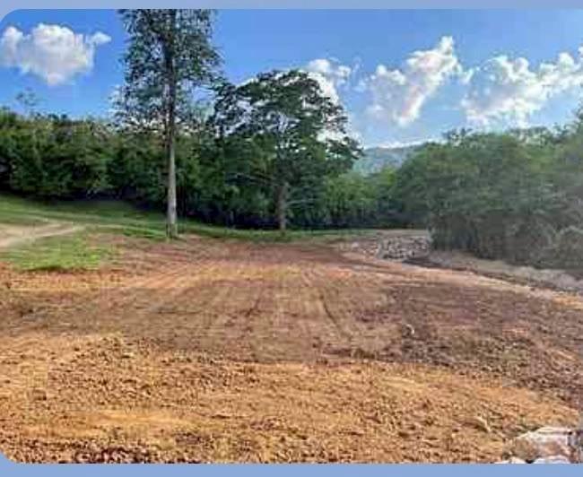 ขายที่ดิน 12 ไร่ เขาใหญ่ อำเภอปากช่อง จังหวัดนครราชสีมา 3