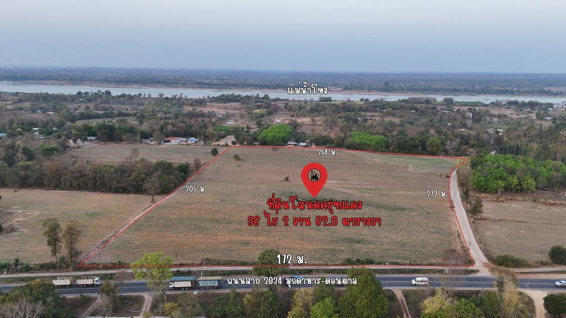 ขายที่ดินโฉนดครุฑแดง แปลงสวย ทำเลทอง จ.มุกดาหาร 1